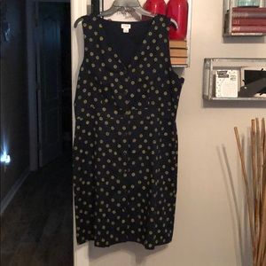 J Crew NWOT sleeveless button down dress